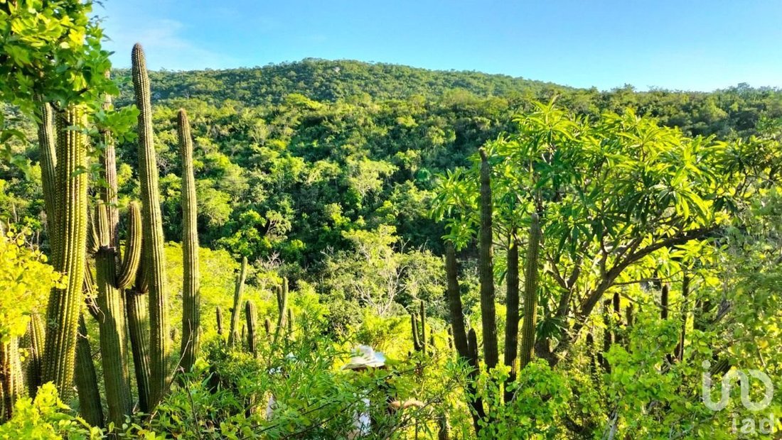 Land in Palo Escopeta, Baja California Sur, Mexico 4 - 16945631