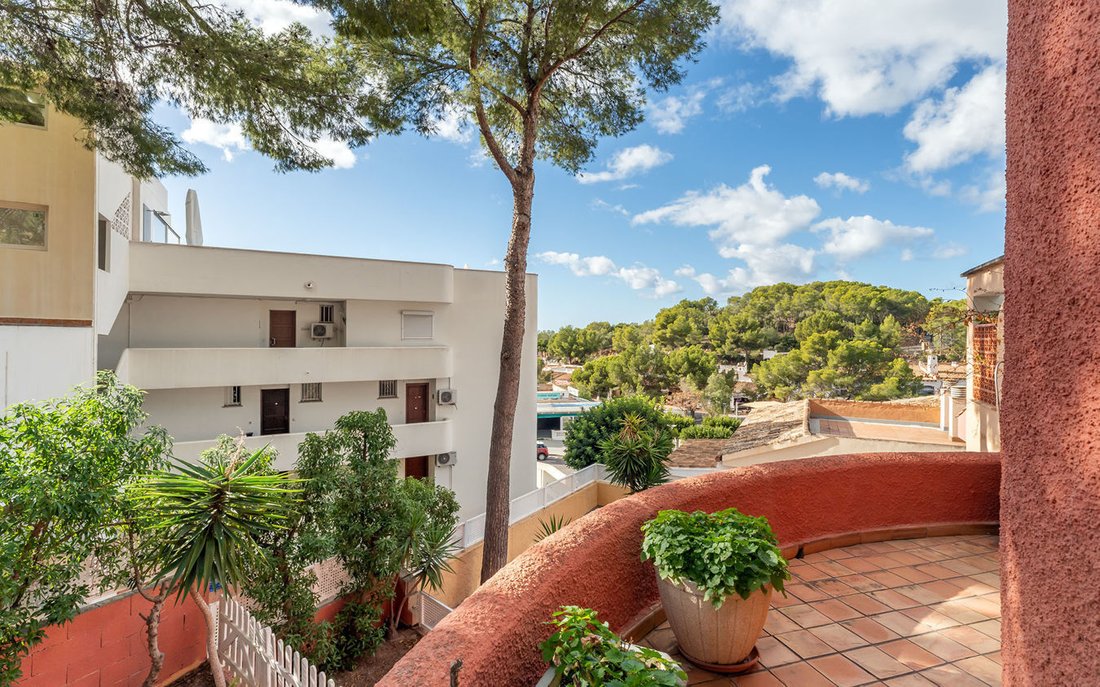 Villa in Rotes Velles, Calvia, Balearic Islands 2 - 16957453