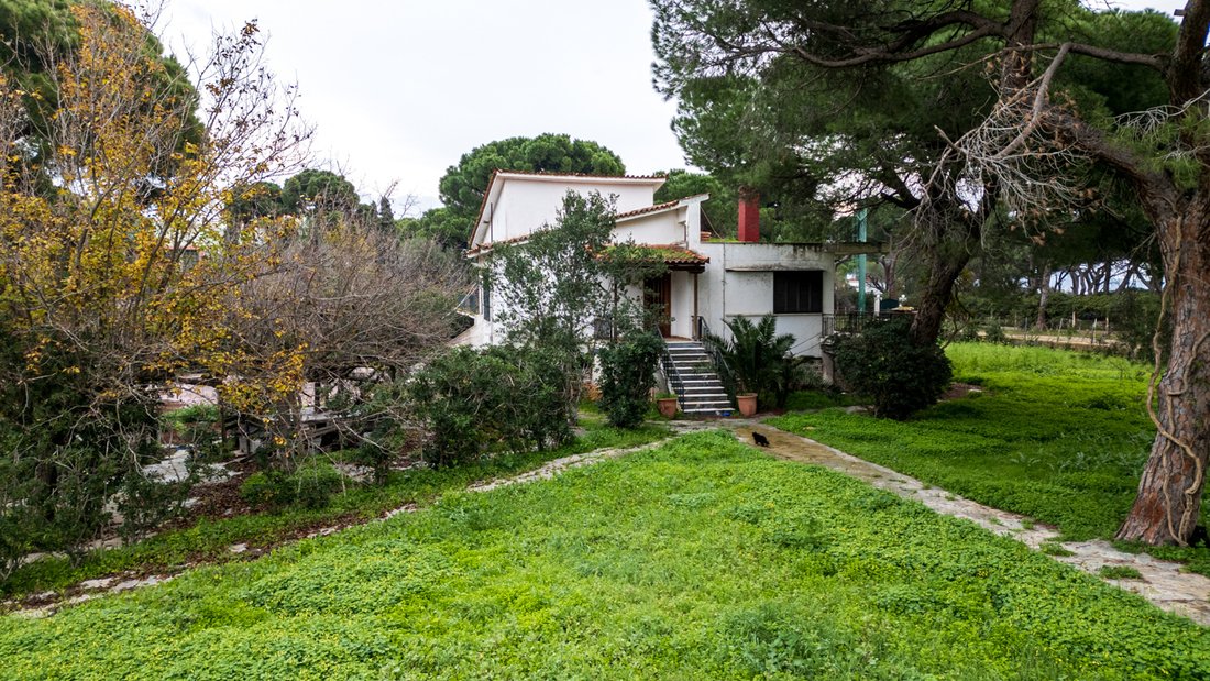 House in Marathonas, Attica, Greece 4 - 16947539