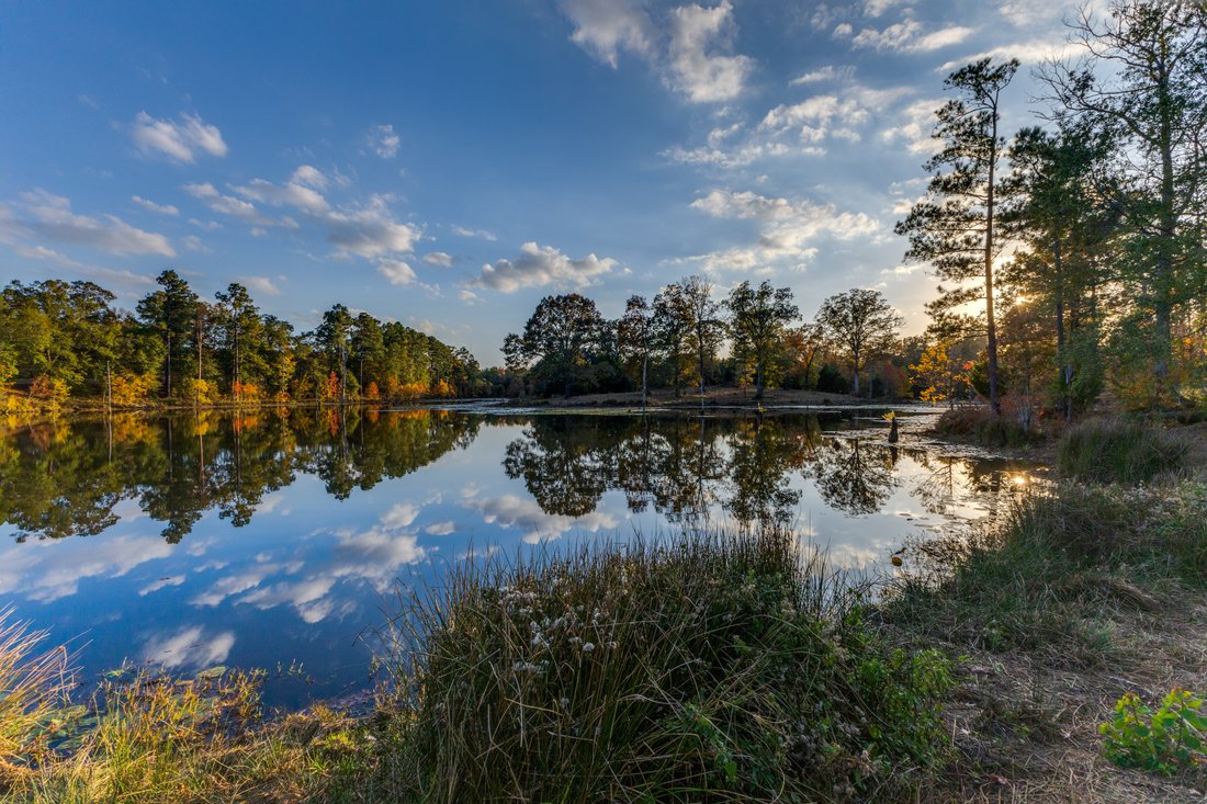 Farm Ranch in Lufkin, Texas, United States 3 - 16952216