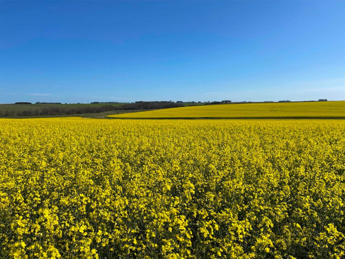 Farm Ranch in Mercedes, Soriano Department, Uruguay 4 - 16950948