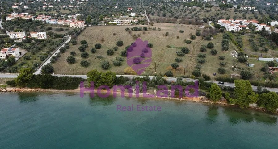 Land in Eretria, Thessaly and Central Greece, Greece 1 - 16945076