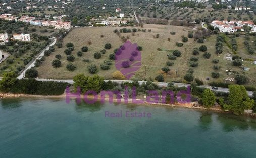 Terreno a Eretria, Thessaly and Central Greece, Grecia 1