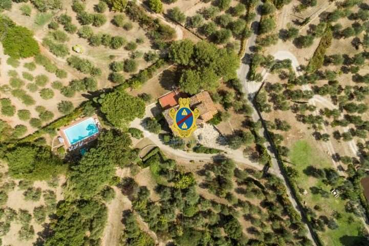 Villa in Settignano, Florenz, Toskana 3 - 16956628