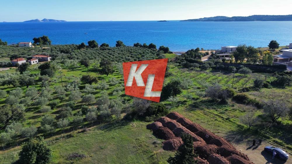 Land in Argolis, Peloponnese, Western Greece and the Ionian, Griechenland 1 - 16945183