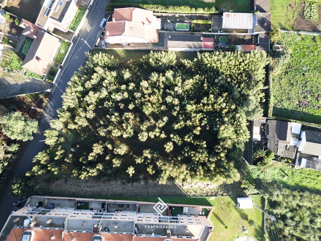 Land in Canelas, Porto District, Portugal 4 - 16951139