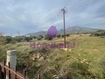Land in Eretria, Thessaly and Central Greece, Greece 5 - 16945076