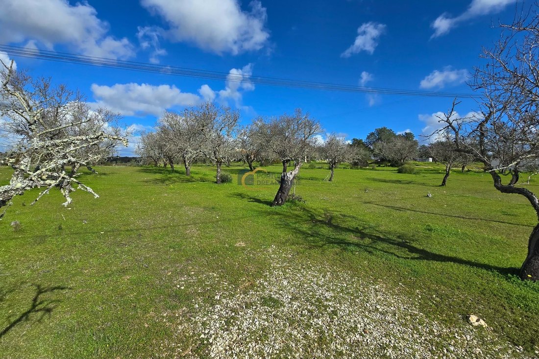Land in Guia, Algarve, Portugal 2 - 16946231
