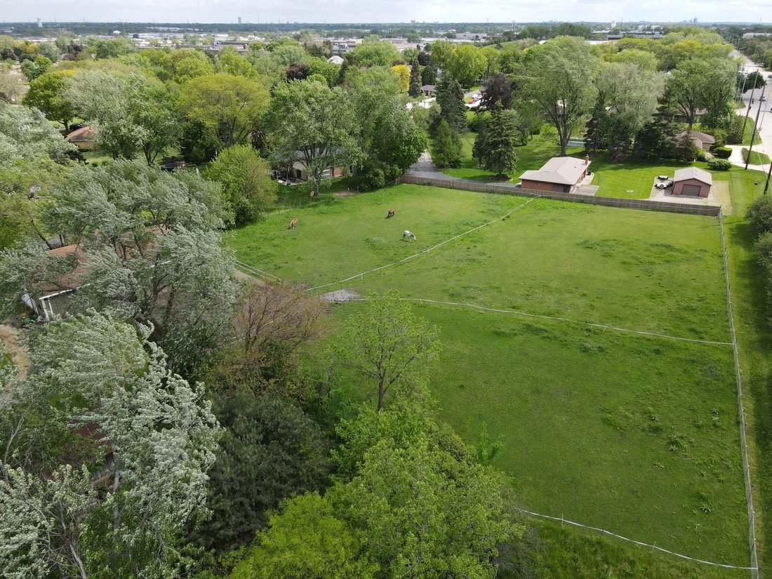 House in Addison, Illinois, United States 5 - 16946619