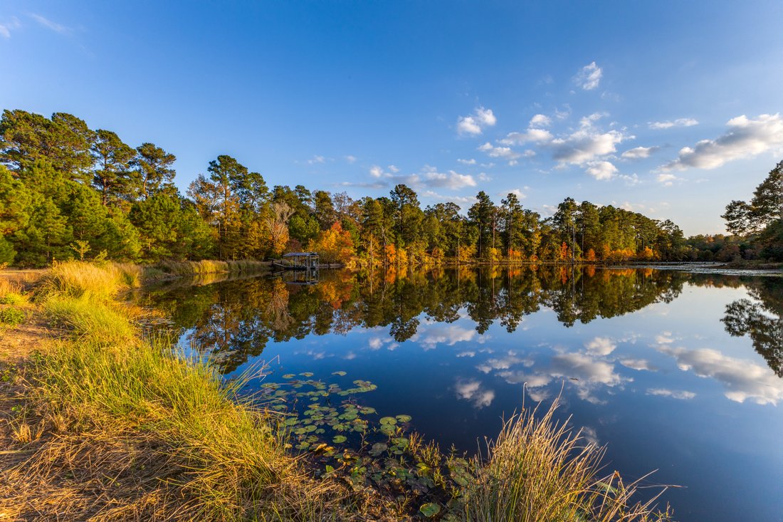 Farm Ranch in Lufkin, Texas, United States 2 - 16952216