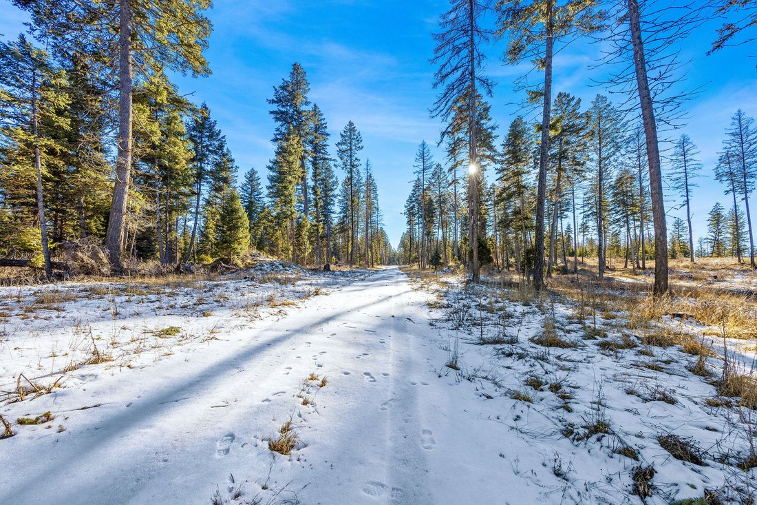 Land in Proctor, Montana, United States 4 - 16935972