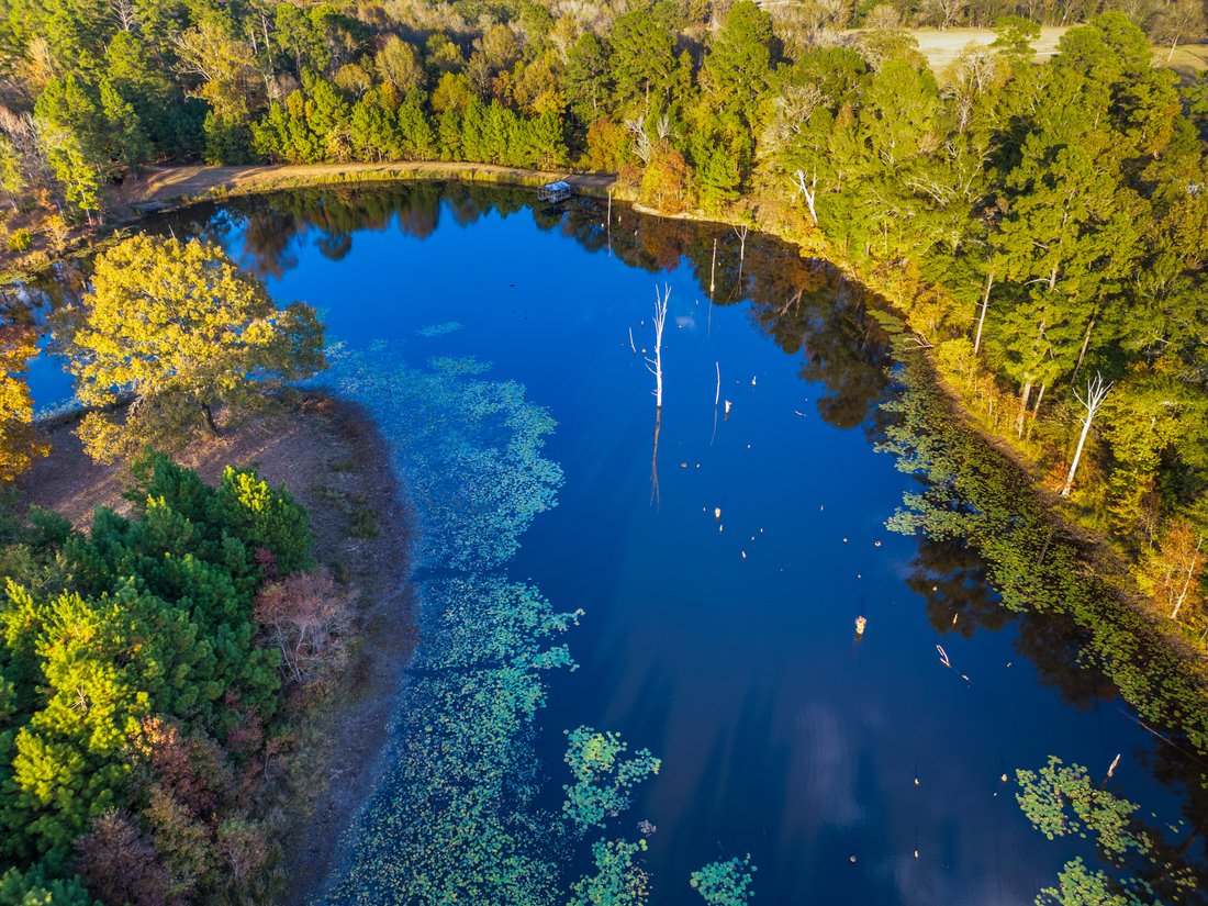 Farm Ranch in Lufkin, Texas, United States 5 - 16952216