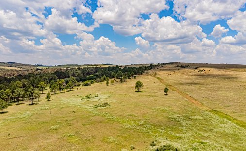 Farm Ranch in De Deur, Gauteng, South Africa 1
