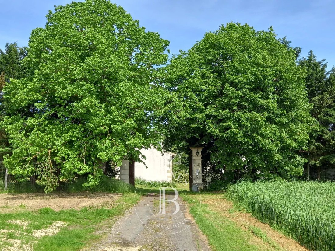 Estate in Châtellerault, Nouvelle-Aquitaine, France 5 - 12617763