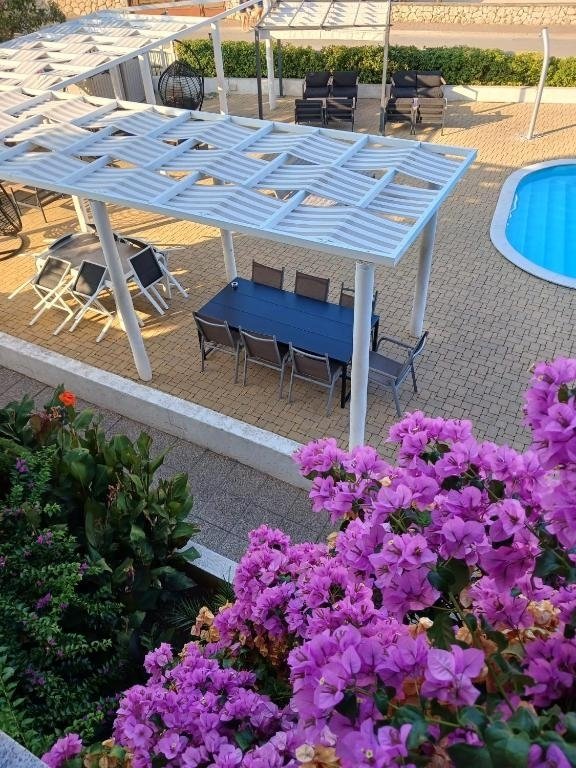 Novalja, Croatia 5 - 16955806