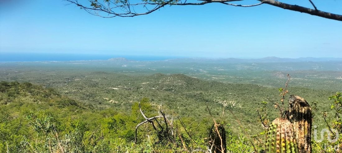 Land in Palo Escopeta, Baja California Sur, Mexico 5 - 16945631