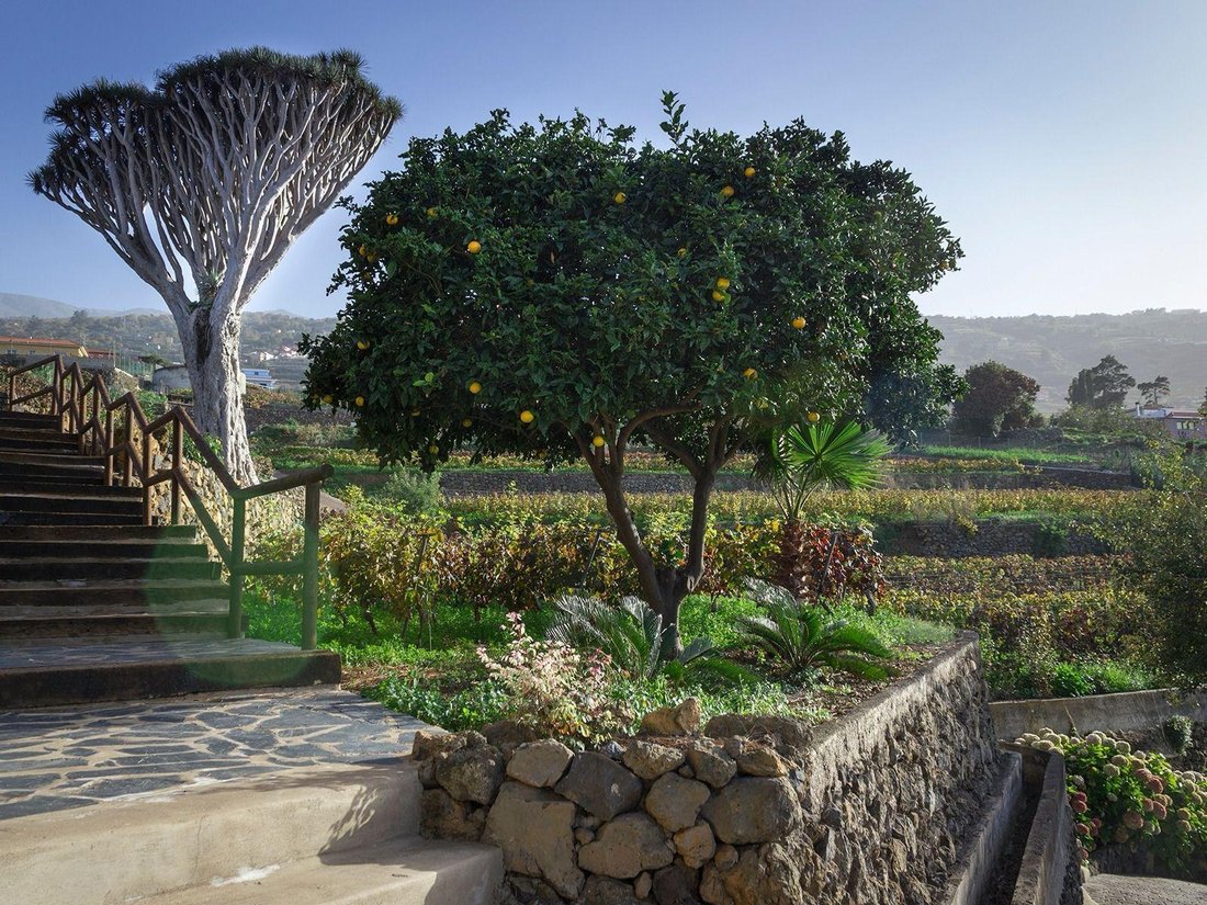Country House in La Quinta, Canary Islands, Spain 5 - 16954142