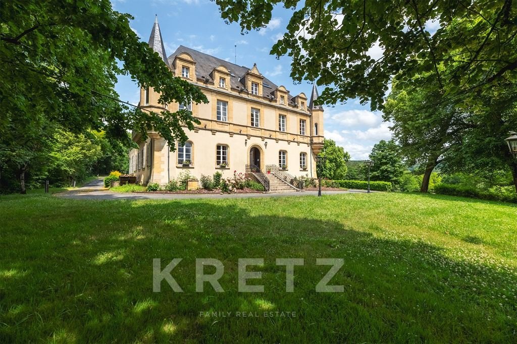 Castle in Montignac-Lascaux, Nouvelle-Aquitaine, France 1 - 15758622