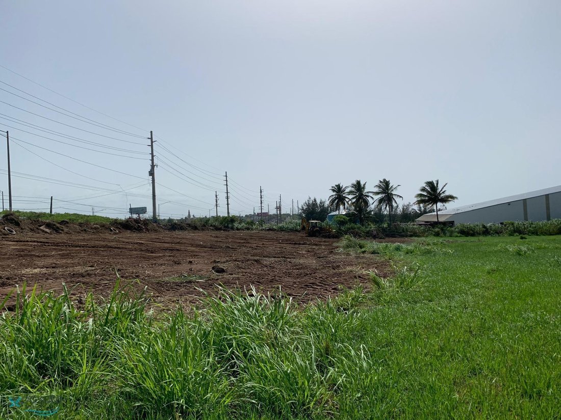 Land in Carrizales, Hatillo, Puerto Rico 5 - 16952875