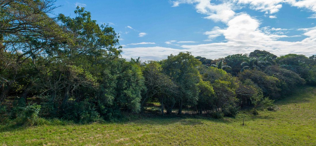 Land in Ballito, KwaZulu-Natal, South Africa 3 - 16946035