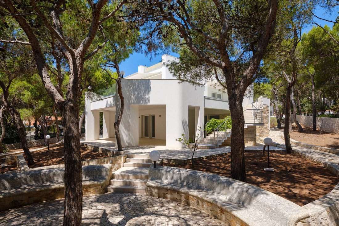 House in Saint Catherine, Nardo, Apulia 1 - 14521043