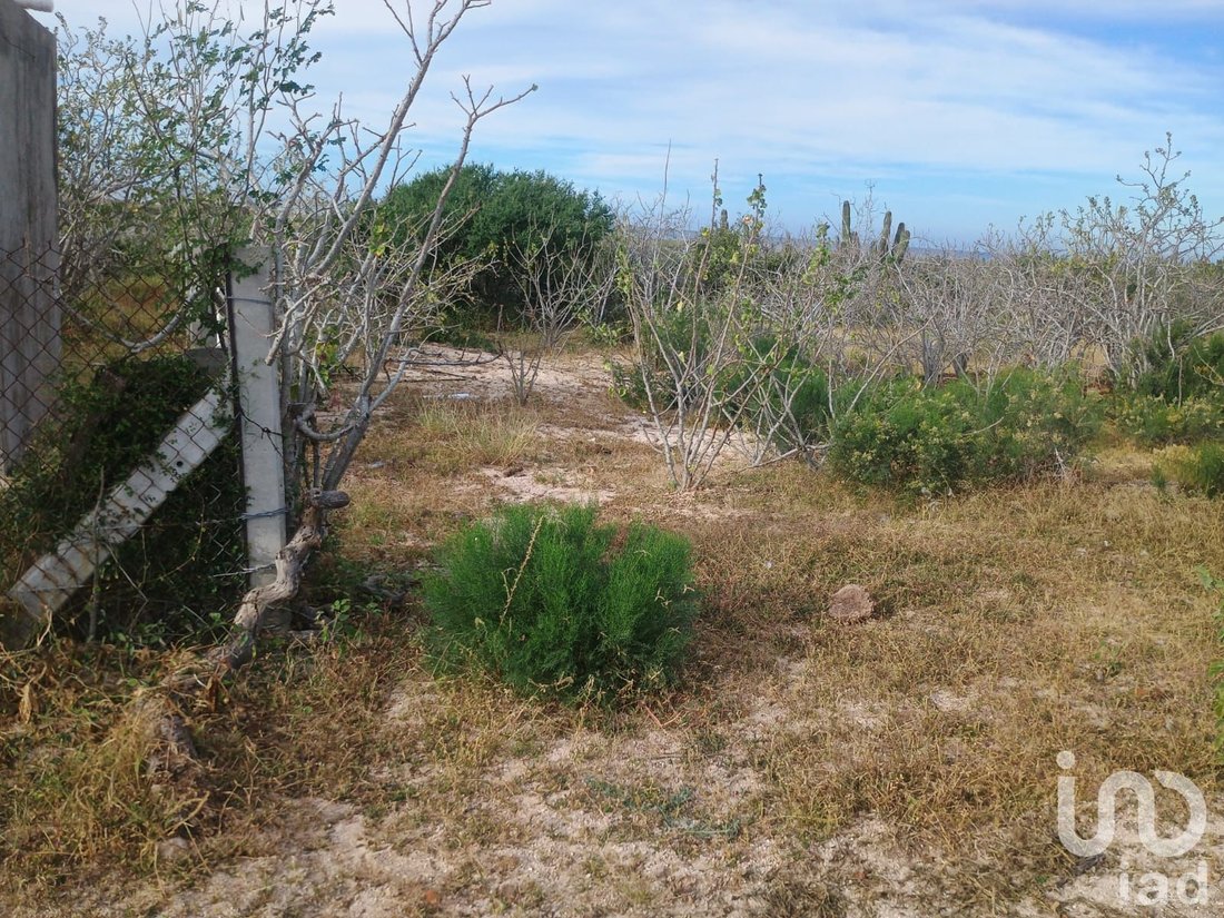 Land in Todos Santos, Baja California Sur, Mexico 5 - 16952871