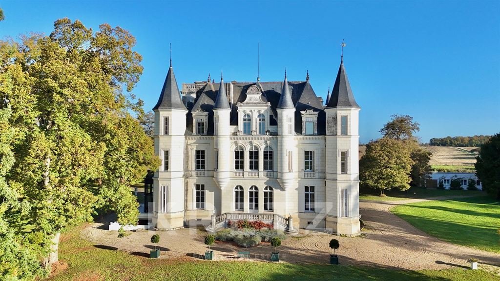 Castle in Esvres, Centre-Val de Loire, France 1 - 16880749