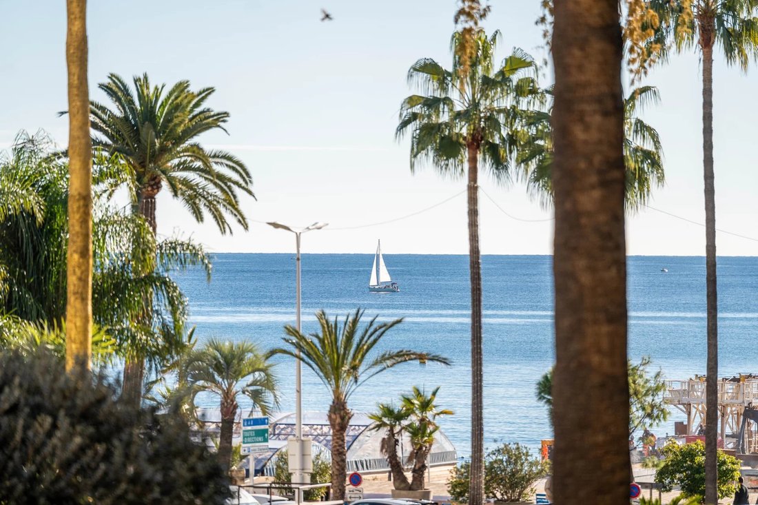 Apartment in Cannes, Provence-Alpes-Côte d'Azur, France 1 - 16945712