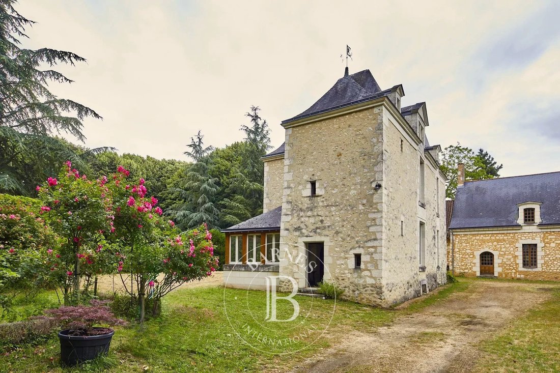 Estate in Cuon, Baugé-en-Anjou, France 2 - 16950181