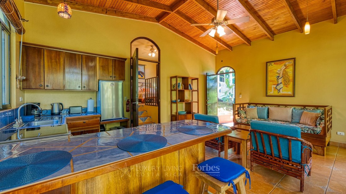 House in Bahía Ballena, Puntarenas Province, Costa Rica 3 - 16951067