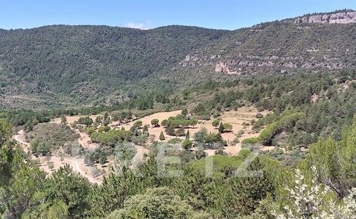 Beautiful 6 Bed/Bath Chateau With Separate Apartment Close To Lodeve. Currently Run As A Boutique B&