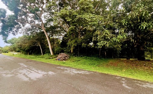 Finca in Rio Hato, Coclé Province, Panama 1