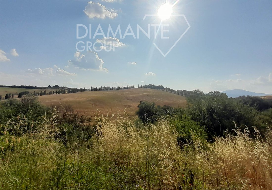 Land in San Casciano dei Bagni, Tuscany, Italy 5 - 16948601