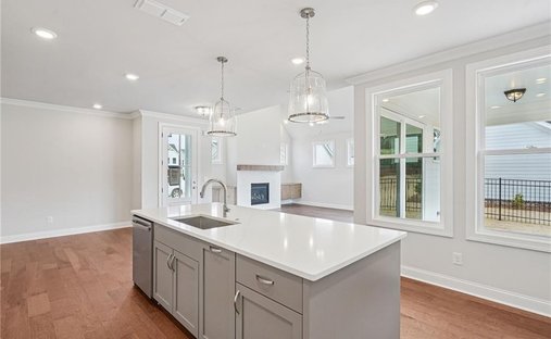 House in Cumming, Georgia, United States 1