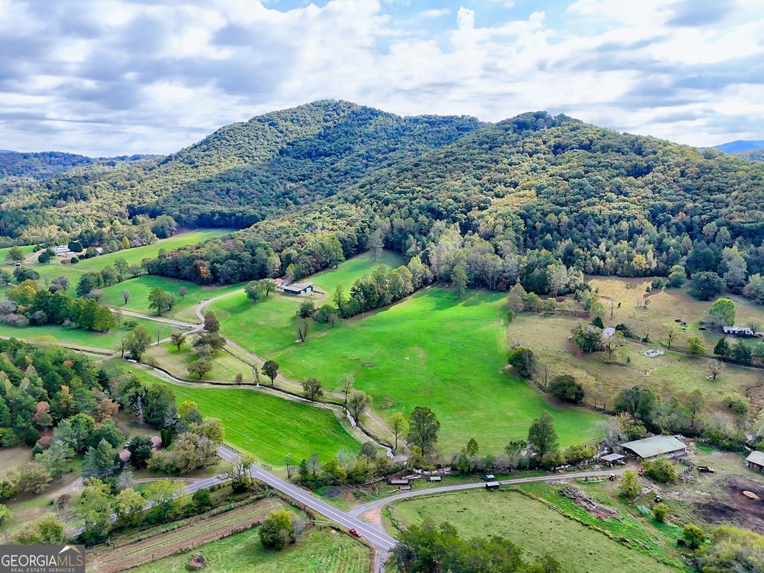 Farm Ranch in Warne, North Carolina, United States 5 - 16476180
