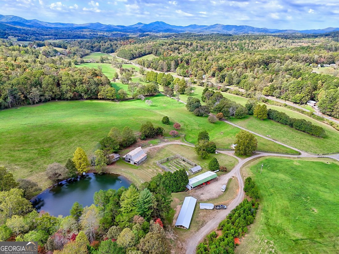 Farm Ranch in Warne, North Carolina, United States 3 - 16476180