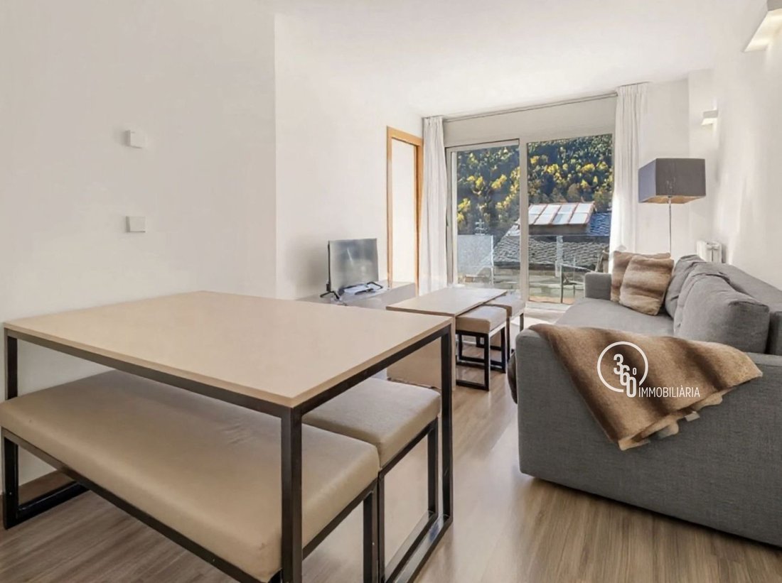 Apartment in Ransol, Canillo, Andorra 3 - 16957619