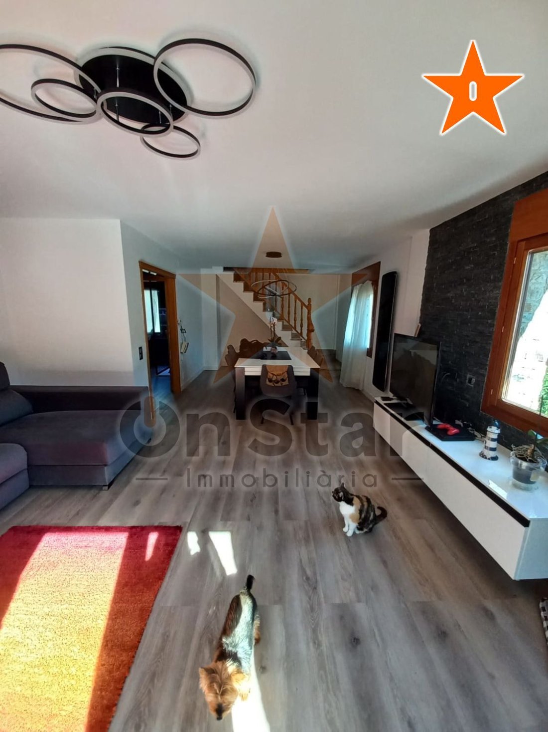 House in Pal, La Massana, Andorra 4 - 16957647