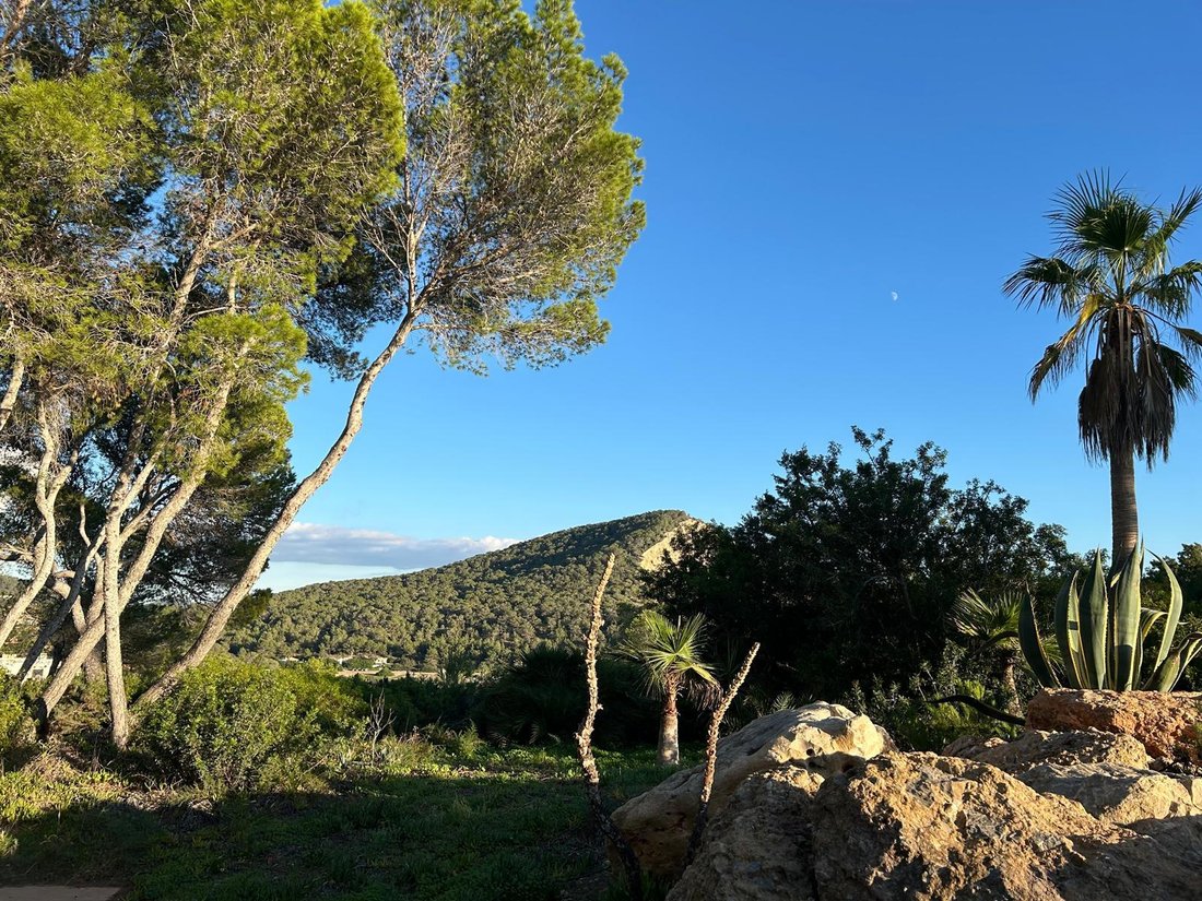Villa in Es Cubells, Sant Josep de sa Talaia, Balearic Islands 3 - 16957784