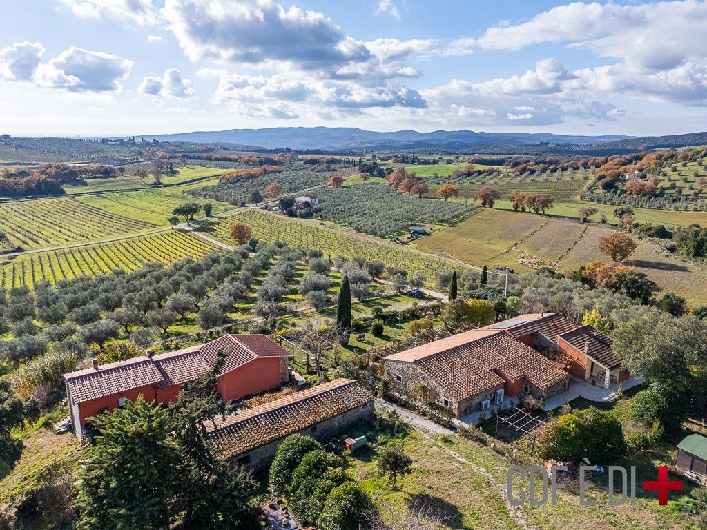 Farm Ranch in Massa Marittima, Tuscany, Italy 3 - 16957814