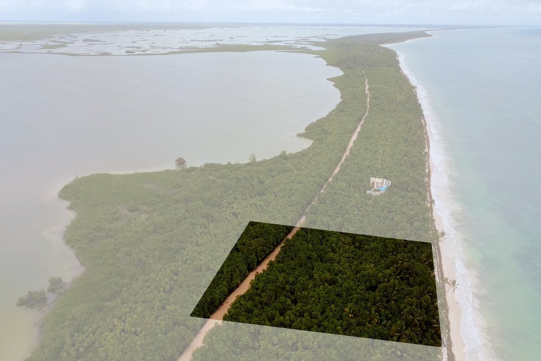 Land in Boca Paila, Quintana Roo, Mexico 5 - 16957769