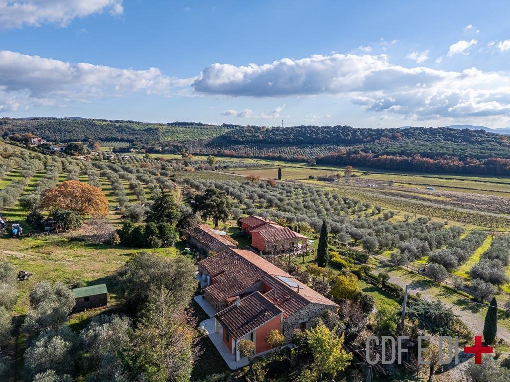 Farm Ranch in Massa Marittima, Tuscany, Italy 4 - 16957814
