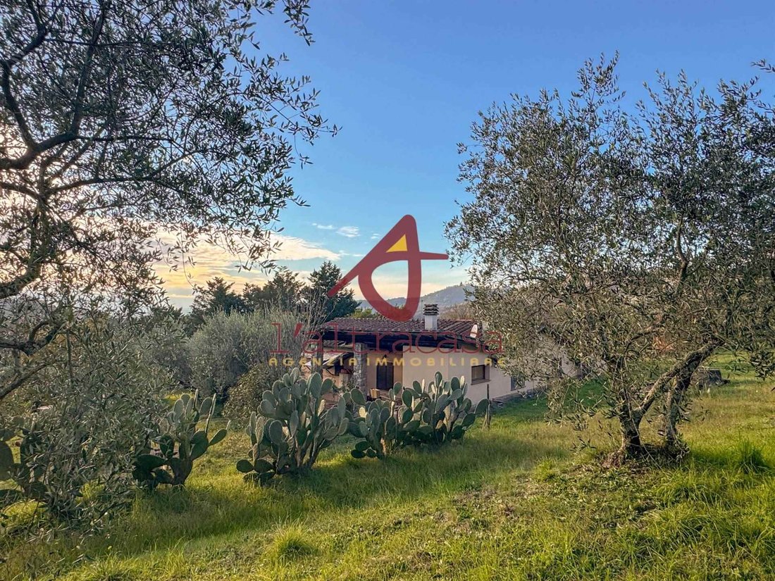 Center, Monsummano Terme, Tuscany 3 - 16960413
