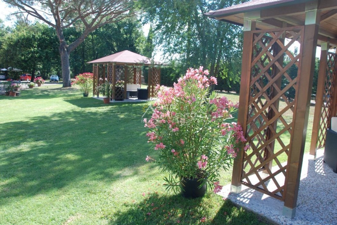 Villa in Castiglione del Lago, Umbria, Italy 5 - 16958109