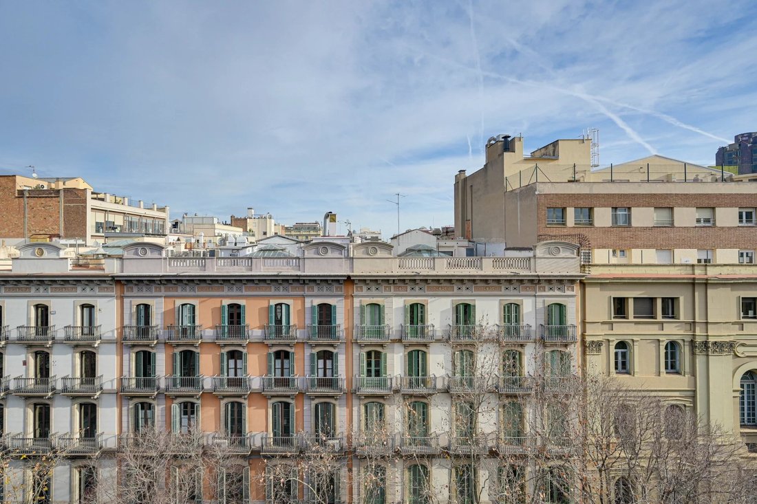Apartment in Ciutat Vella, Barcelona, Spain 4 - 16958156