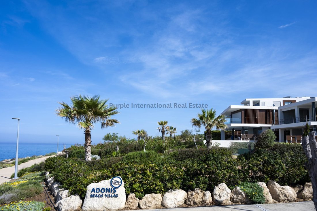 Villa in Chloraka, Paphos, Cyprus 3 - 16958726