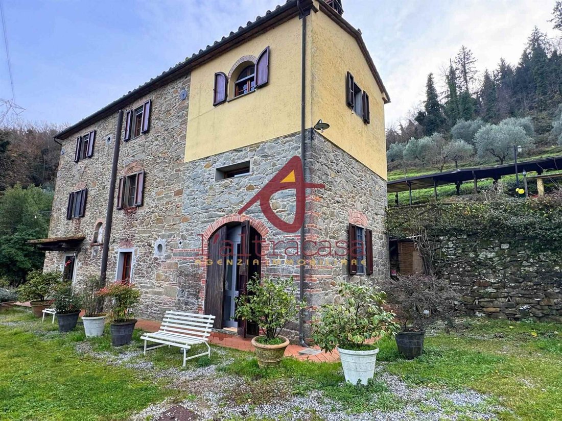 Center, Catena, Tuscany 1 - 16960395