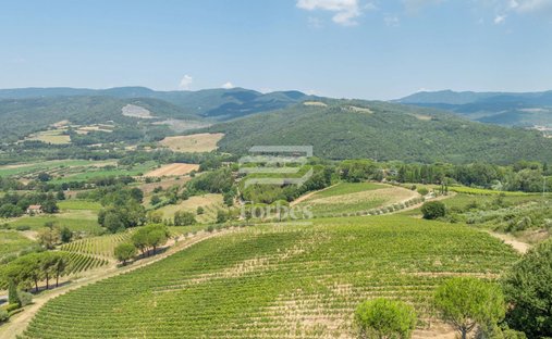 Corps de ferme à Bibbona, Toscane, Italie 1