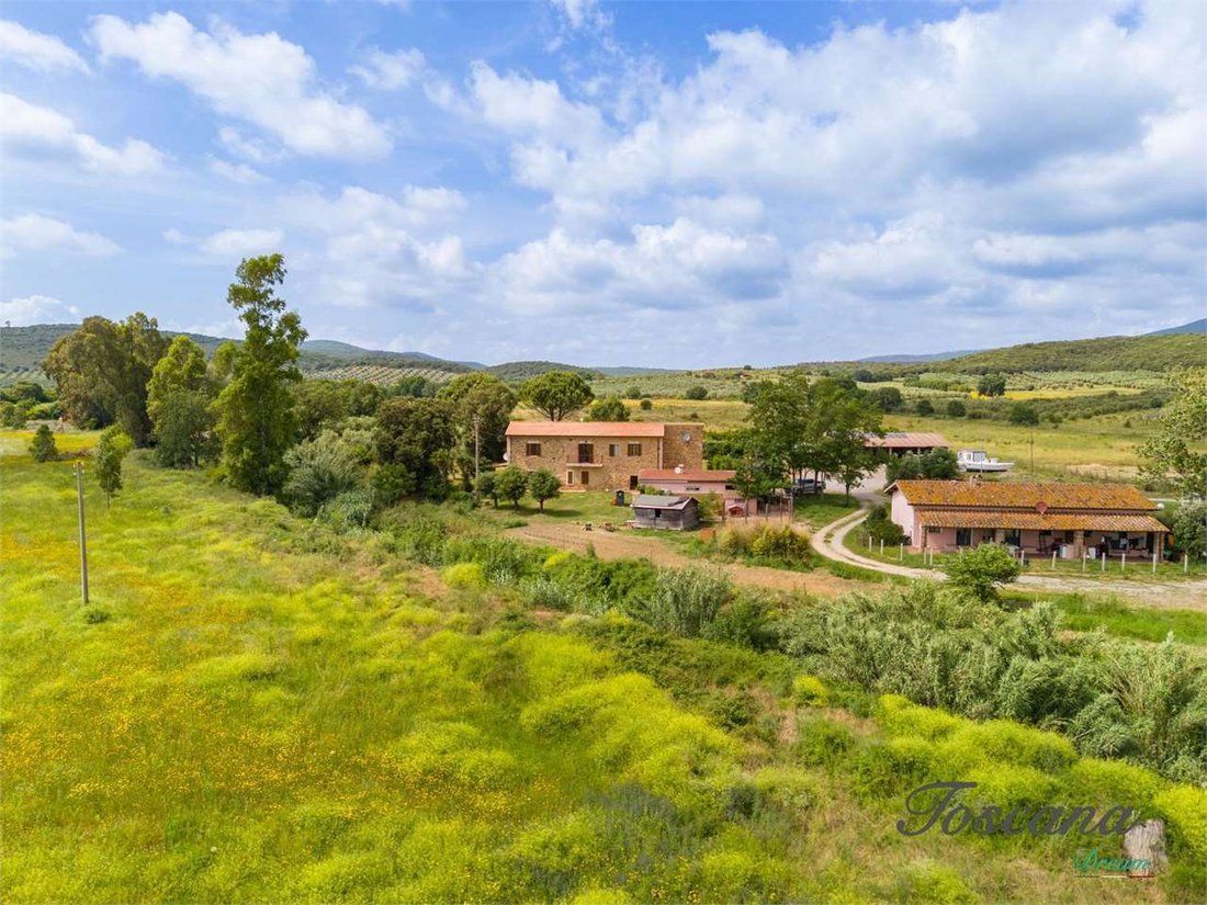 Estate in Batignano, Grosseto, Tuscany 5 - 16959412