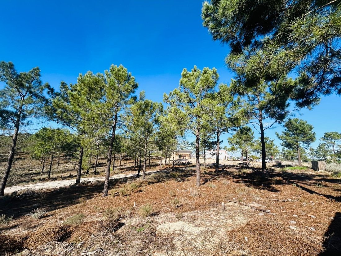 Land in Carvalhal, Setubal, Portugal 2 - 16958539